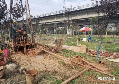 沿江高鐵肥東段迎關鍵節點 店埠河特大橋啟動勘測，為2020年開工建設鋪路