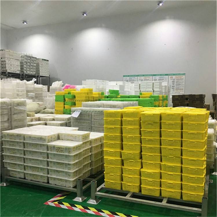 5000平米果蔬保鮮冷庫 打造農產品優質保鮮鏈條，助力基地冷鏈升級